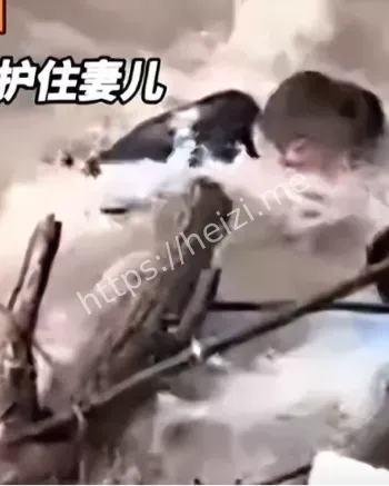 安全警示