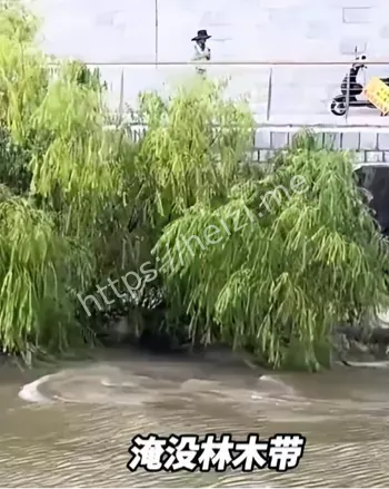 钱塘江