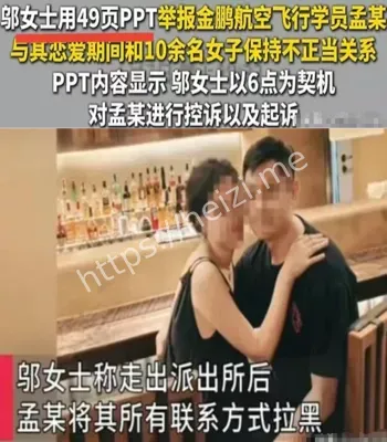金鹏飞行员