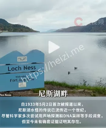 目击照片