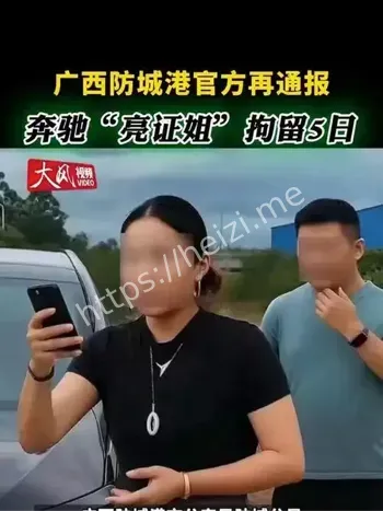 亮证女司机