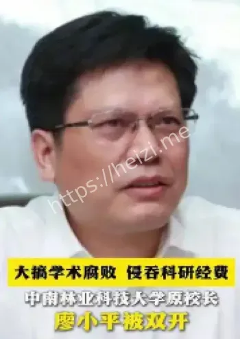 学术腐败