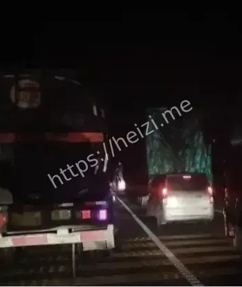 南疆巨龙