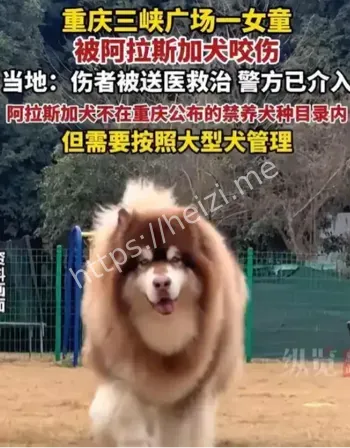 女童毁容