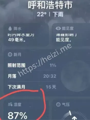 8人死亡