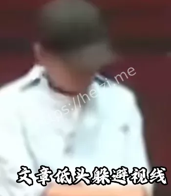 劣迹艺人