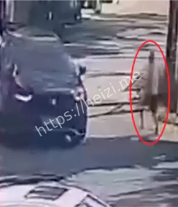 男子当街捅死