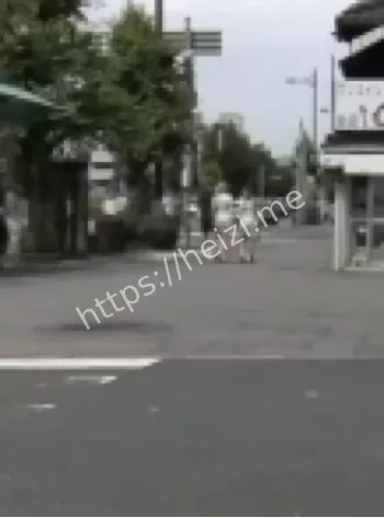 6月京都遇刺案