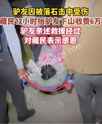 勒多曼因登山
