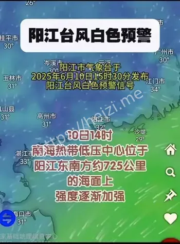 台风白鹿