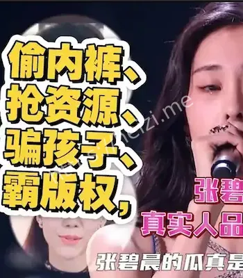 私生饭争议