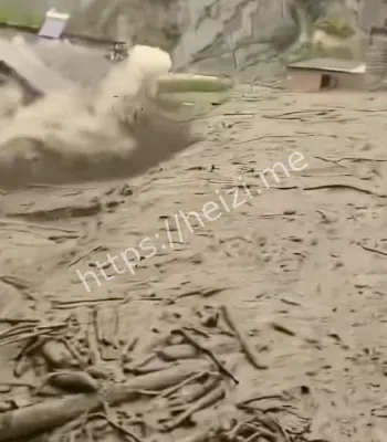 云南宁洱