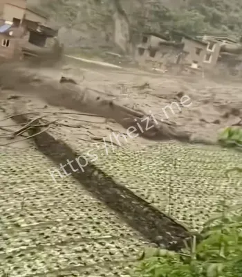 农田受损
