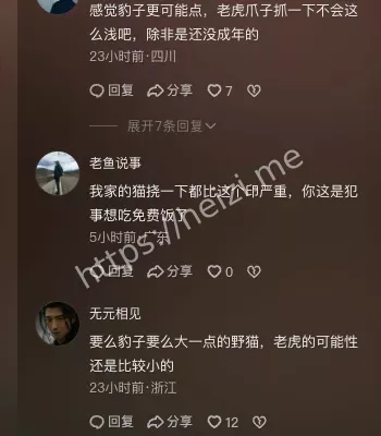 人兽冲突