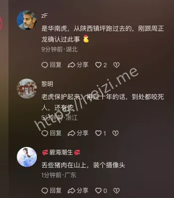 老虎伤人事件