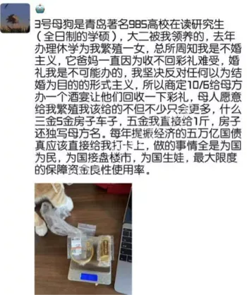 张桐雨