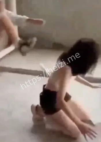 社会关注