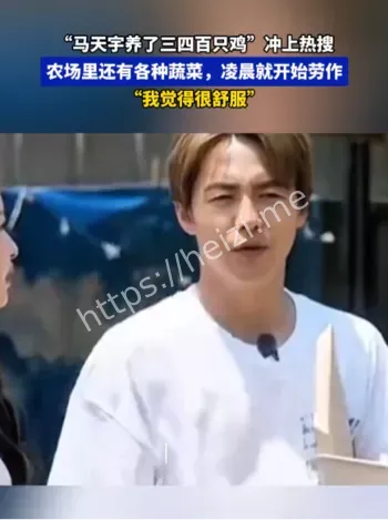 马天宇