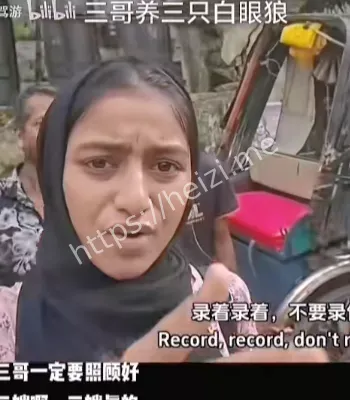 三哥自驾游