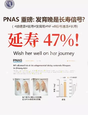 加速衰老