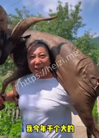 直播带货违规