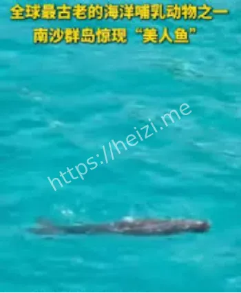 海洋生态恢复