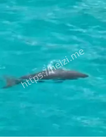 南沙海洋保护