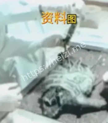 解剖外星人