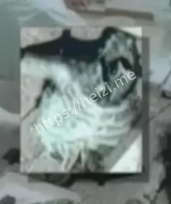克格勃档案
