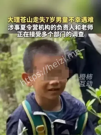 苍山事故