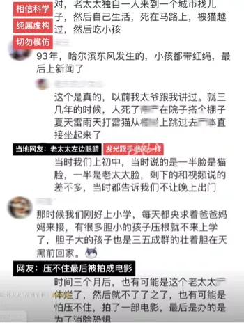 猫灵附体