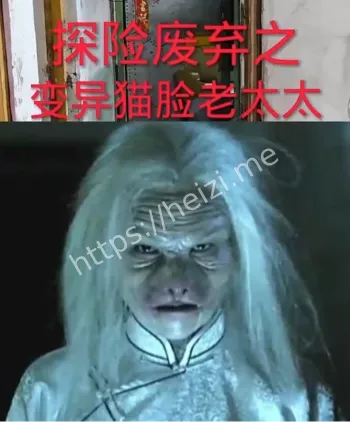 猫脸老太太
