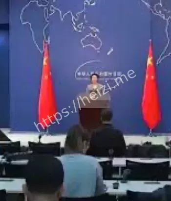 中方报告