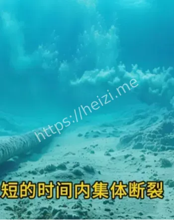 事件调查