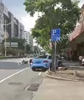 司机逃逸