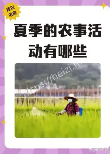 抖音电商