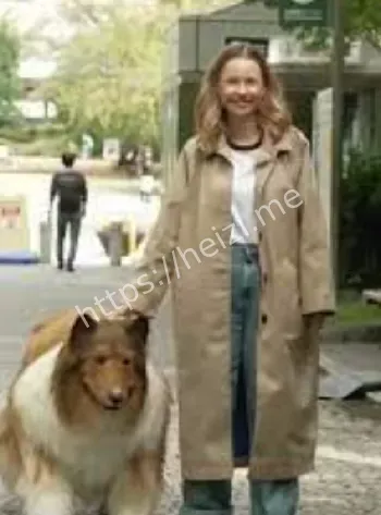 牧羊犬皮套