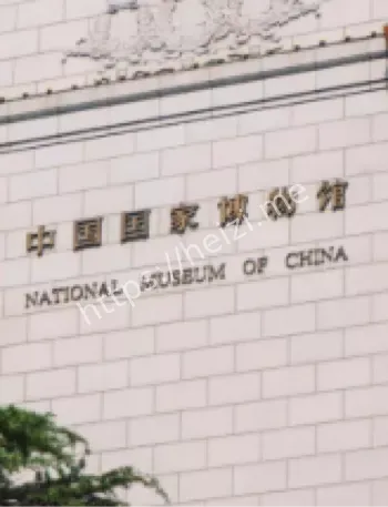 特大盗墓案