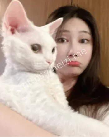 推特网红