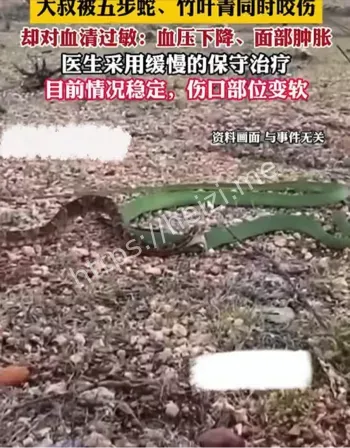 血清过敏