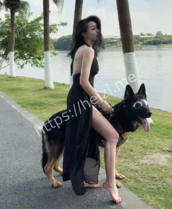 黑丝魅力