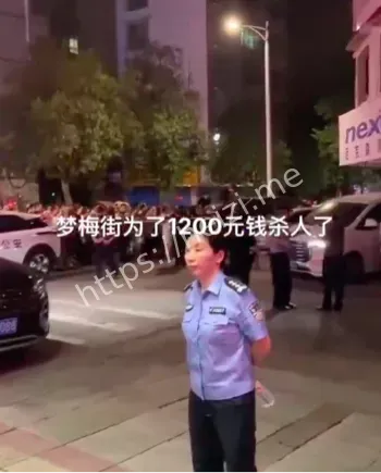 梦梅街