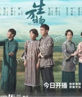 张海宇