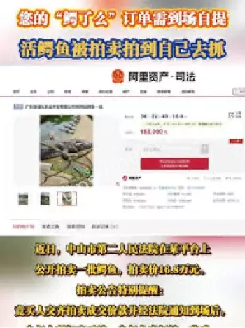 鳄了么