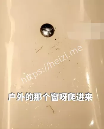 酒店卫生问题
