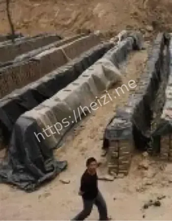 河南失踪父亲
