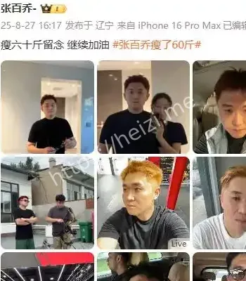 张百乔