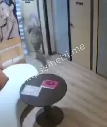 吉兰丹医生
