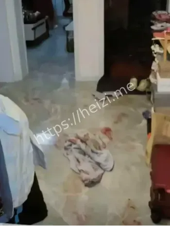 凶手逍遥