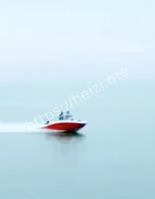 海关抓捕
